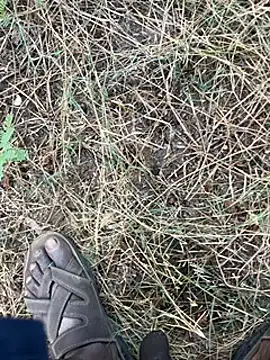 Snapshot of tamil000000 chatting on March 11, 2025, 1:37 am tamil000000 online show from March 11, 2025, 1:37 am