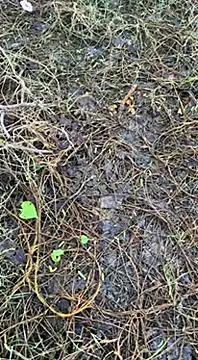 Snapshot of tamil000000 chatting on March 16, 2025, 1:38 am tamil000000 online show from March 16, 2025, 1:38 am