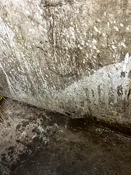 Snapshot of tamil000000 chatting on January 12, 2026, 1:05 pm tamil000000 online show from January 12, 2026, 1:05 pm