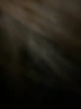 KitteCat online show from January 4, 2025, 2:46 pm