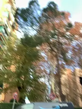 Ryan-hot online show from December 5, 2024, 2:33 pm