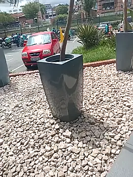 Snapshot of Lexwelll chatting on March 16, 2025, 11:05 am Lexwelll online show from March 16, 2025, 11:05 am