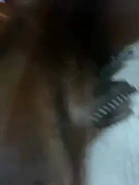 girl anni online show from February 16, 2025, 9:15 am