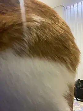 girl anni online show from November 11, 2025, 3:12 pm