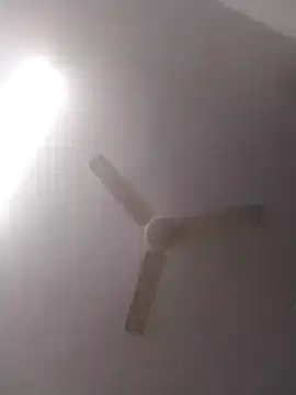 jenilmax online show from December 16, 2024, 4:49 pm