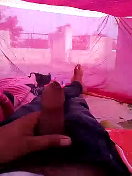 PracticalGum40 online show from February 28, 2025, 2:20 am