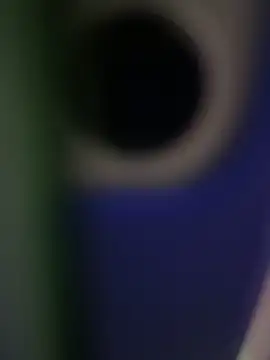 Snapshot of rodrigo21Cm_ chatting on February 14, 2025, 9:32 pm rodrigo21Cm online show from February 14, 2025, 9:32 pm