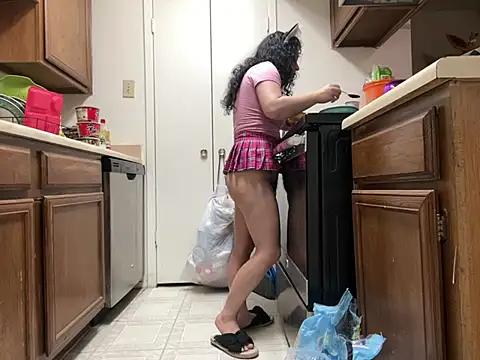 Snapshot of Tinytink chatting on February 3, 2025, 6:49 pm Tinytink online show from February 3, 2025, 6:49 pm