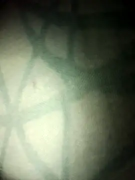 lemon69Reo online show from November 16, 2025, 6:19 am