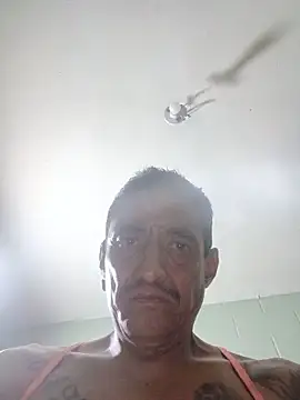 Innsaciable online show from May 17, 2026, 7:28 am
