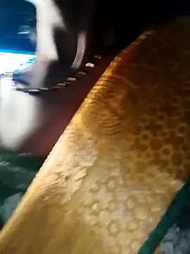 Kajal  Mehra online show from March 28, 2026, 3:39 am