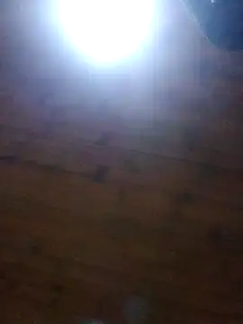 Darly Gomez online show from December 30, 2024, 3:58 am