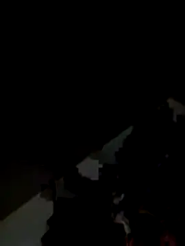 Kitjai200301 online show from November 1, 2025, 7:43 am