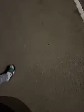 Lahcene online show from November 20, 2025, 6:29 pm