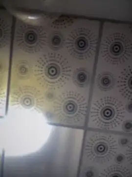 Snapshot of adam-rivera chatting on October 1, 2025, 5:08 pm adam-rivera online show from October 1, 2025, 5:08 pm