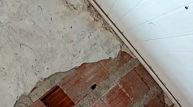 Snapshot of frotasso chatting on January 18, 2025, 4:31 pm frotasso online show from January 18, 2025, 4:31 pm