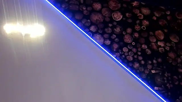 Snapshot of ArtemisaBlake chatting on March 20, 2025, 7:35 pm ArtemisaBlake online show from March 20, 2025, 7:35 pm