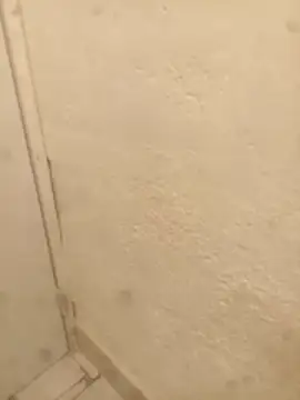 Snapshot of FlacoRiaton chatting on February 10, 2026, 8:07 am FlacoRiaton online show from February 10, 2026, 8:07 am