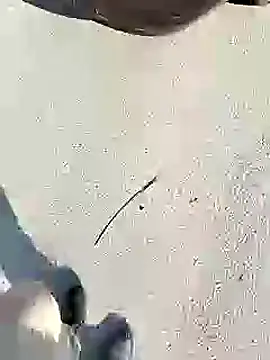 chootkapyasa007 online show from January 27, 2025, 10:06 am