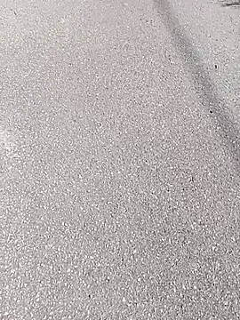 Eleni Pappa online show from March 11, 2026, 10:21 am