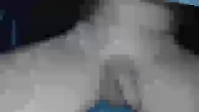 cs1512 online show from February 13, 2025, 6:38 pm