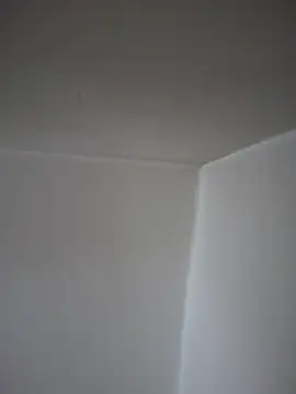 Snapshot of SecretlyDD chatting on April 23, 2026, 9:19 am SecretlyDD online show from April 23, 2026, 9:19 am