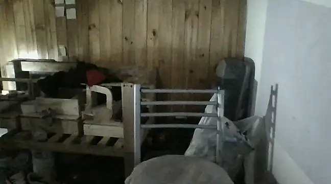 italianbighorse22 online show from January 18, 2025, 6:03 am