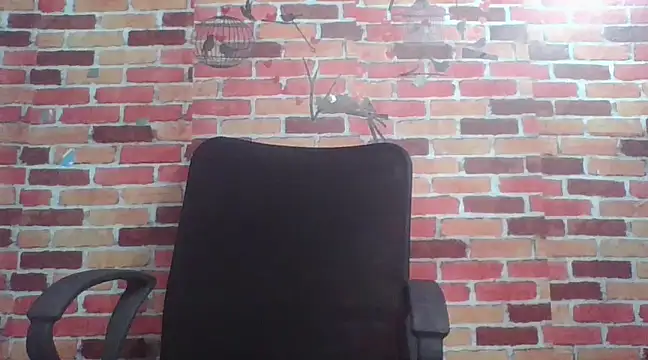 telugu indhu 0001 online show from December 24, 2024, 12:44 am