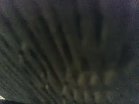 party51502 online show from March 8, 2025, 7:20 pm