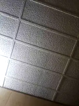 zaneporter46 online show from February 17, 2025, 7:58 am