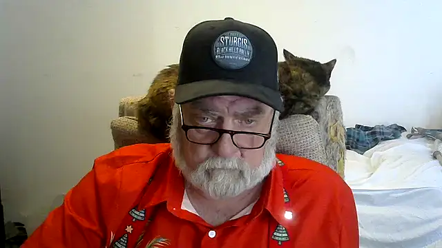 viejo oso online show from December 14, 2025, 10:36 pm