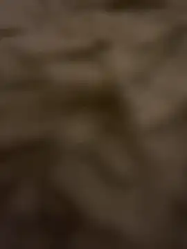 DollDepend online show from March 22, 2025, 6:43 am