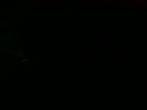 PureNude online show from February 24, 2025, 11:19 pm