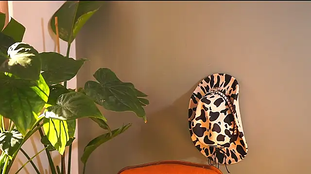 HairyRobxxx online show from September 19, 2025, 1:56 pm