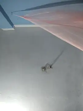 124pakhi online show from October 10, 2025, 8:35 am