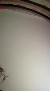 Lauren Amabel online show from March 16, 2025, 7:04 am