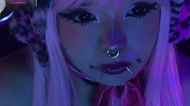 Snapshot of LaytonBox chatting on March 24, 2026, 2:11 pm LaytonBox online show from March 24, 2026, 2:11 pm