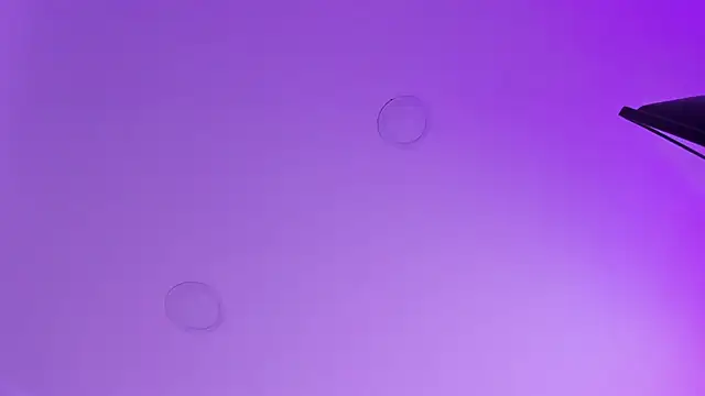 kathy bakerr online show from March 18, 2026, 1:25 pm