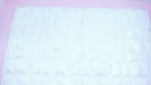 Sara conde online show from February 8, 2025, 8:42 pm