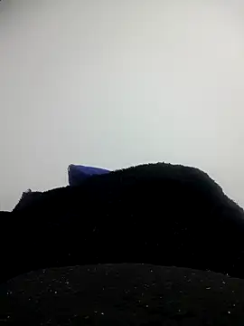 CHARLOTTE 1711 online show from October 11, 2025, 3:39 am