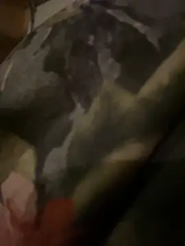 Snapshot of QTeepye chatting on February 19, 2026, 4:41 am QTeepye online show from February 19, 2026, 4:41 am