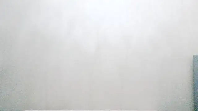 vnhfds online show from January 22, 2025, 2:56 pm