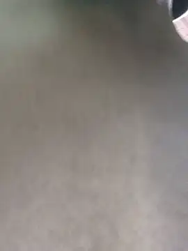 Snapshot of Nego8659 chatting on January 18, 2026, 4:44 pm Nego8659 online show from January 18, 2026, 4:44 pm