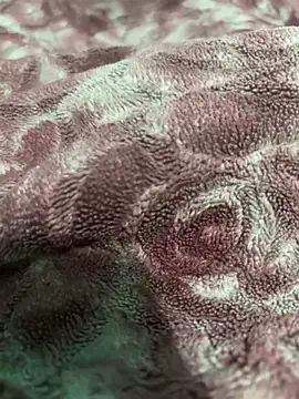 shibhu1 o online show from March 11, 2025, 9:56 am