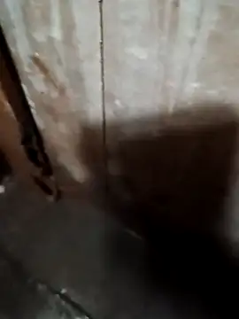 Raj41 online show from September 20, 2025, 1:39 am