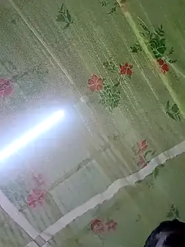 Raj41 online show from November 29, 2025, 11:52 pm