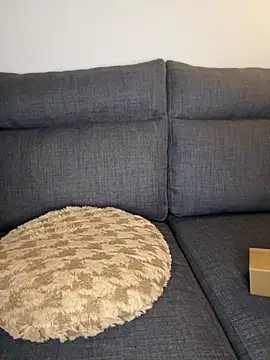 Lobna-alami online show from February 11, 2025, 11:54 pm