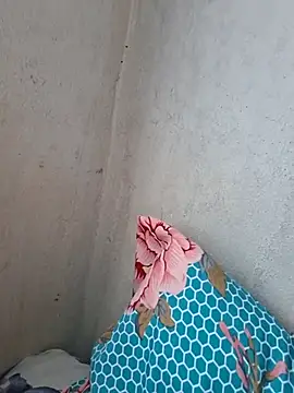 novinhatransexy online show from November 3, 2025, 5:25 pm