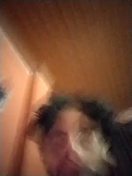 Snapshot of Nooneisthis chatting on February 2, 2025, 7:20 am Nooneisthis online show from February 2, 2025, 7:20 am