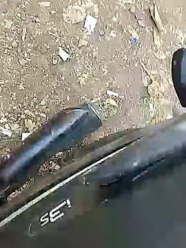 Playboy bhabhi 00 online show from February 8, 2025, 11:01 am